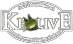 logo bianco ombra2